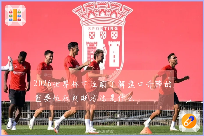 2026世界杯下注前了解盘口升降的重要性和判断方法是什么