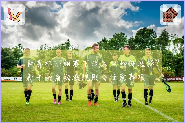 世界杯小组赛下注入口如何选择？新手必看游戏规则与注意事项
