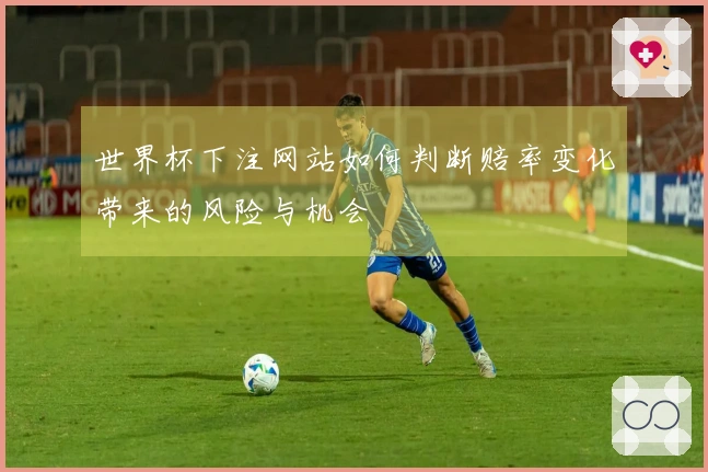 世界杯下注网站如何判断赔率变化带来的风险与机会