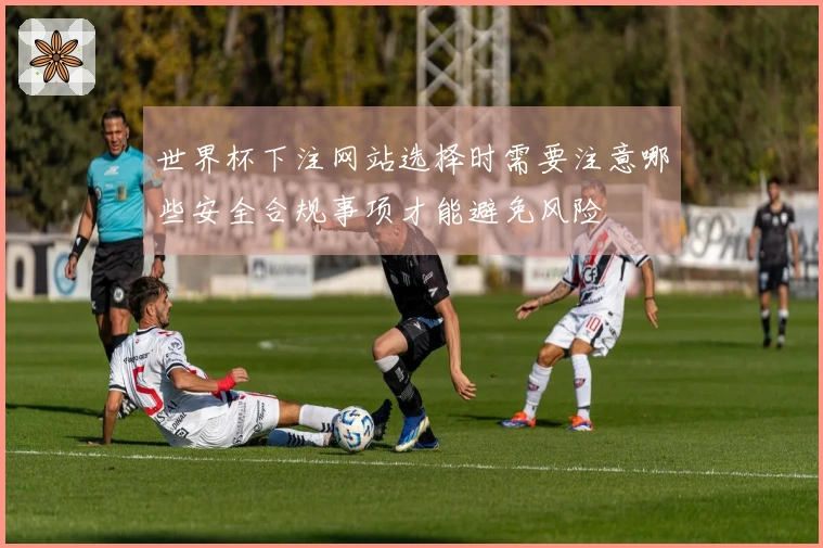 世界杯下注网站选择时需要注意哪些安全合规事项才能避免风险