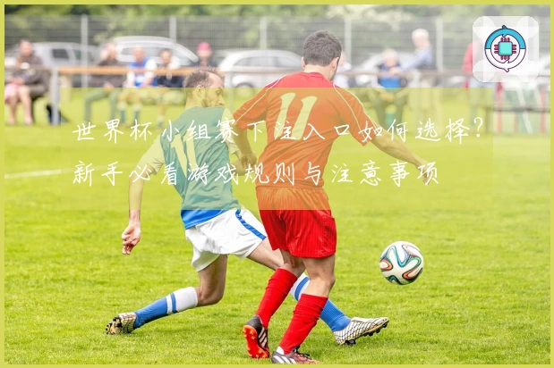 世界杯小组赛下注入口如何选择？新手必看游戏规则与注意事项