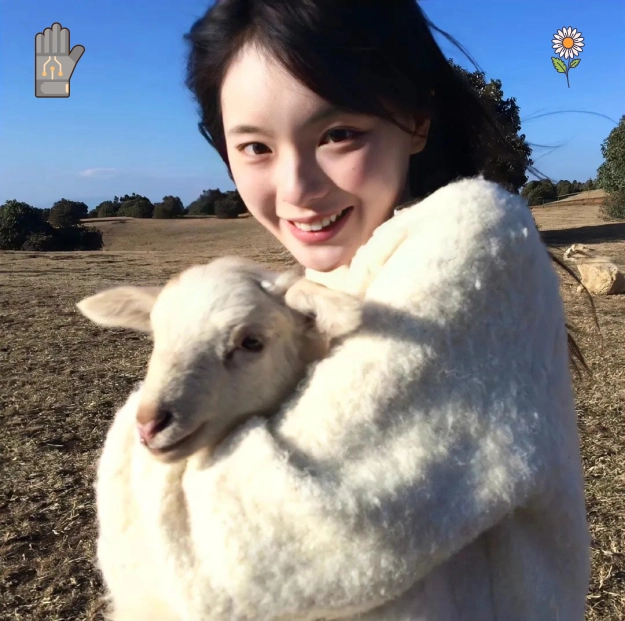 小叶